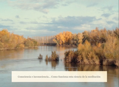 Consciencia e Inconsciencia