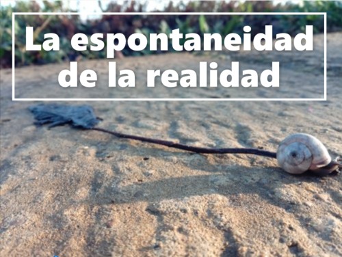 La espontaneidad de la realidad