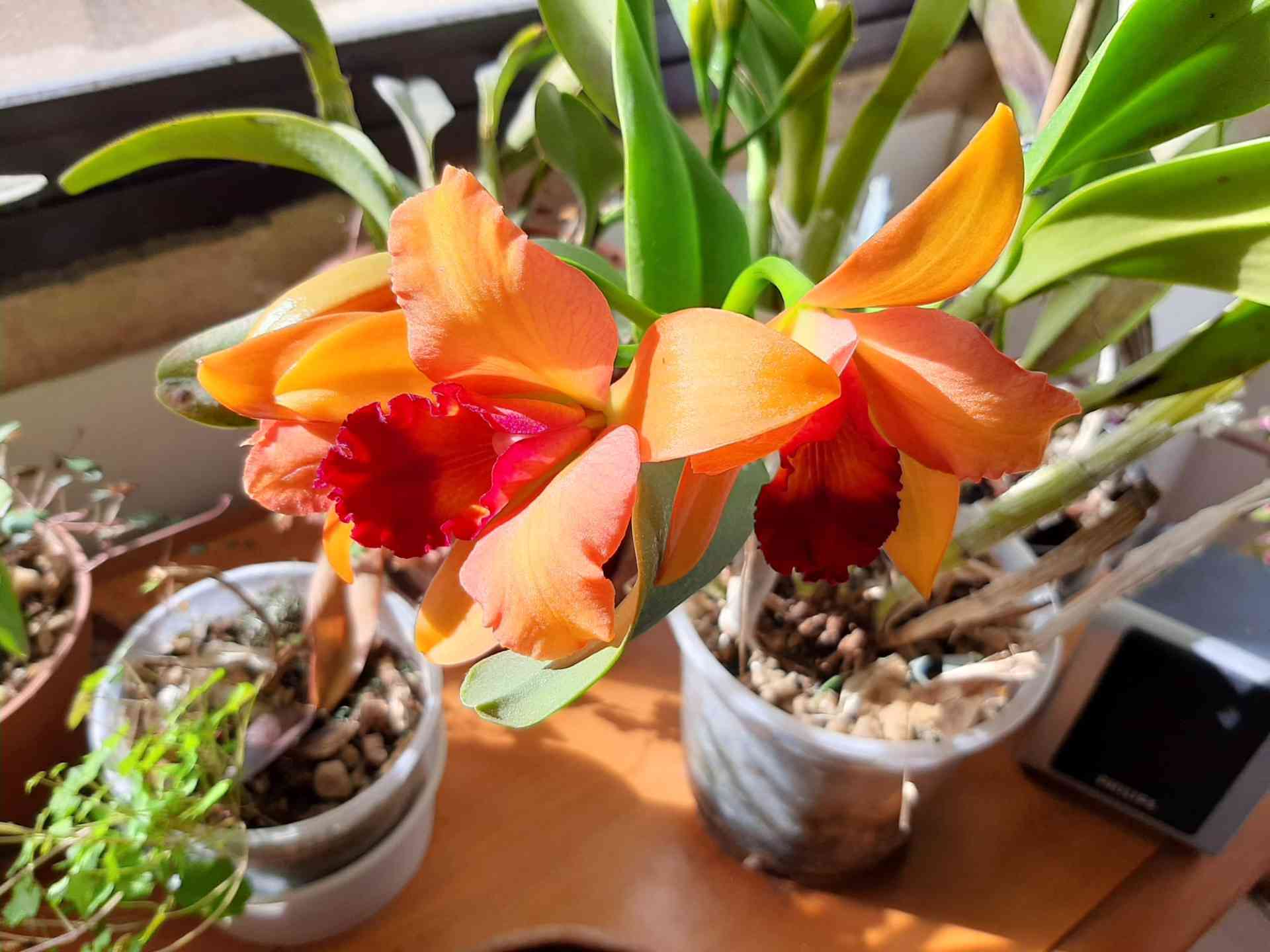 Un trocito de paraíso en la ribera