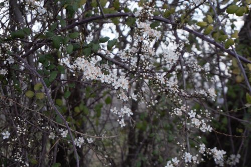 Acallar los pensamientos