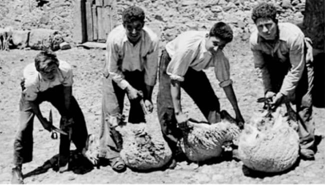 O miyo primer contauto con l’aragonés