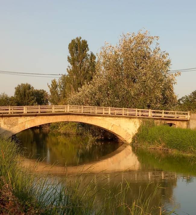 Tercera Meditación Guiada