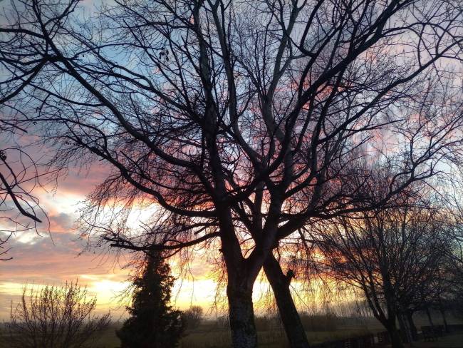 Alimentar el embrión espiritual