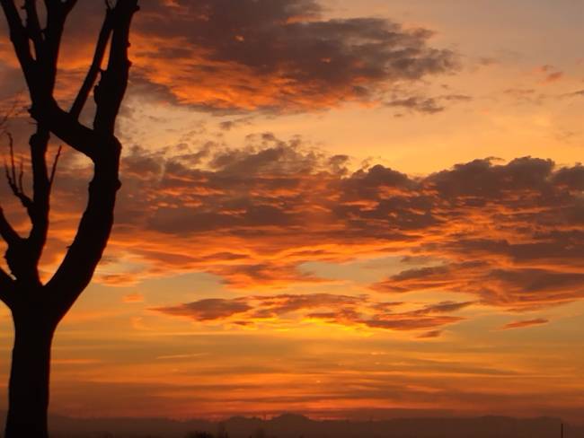 Cultivo de nuevos hábitos