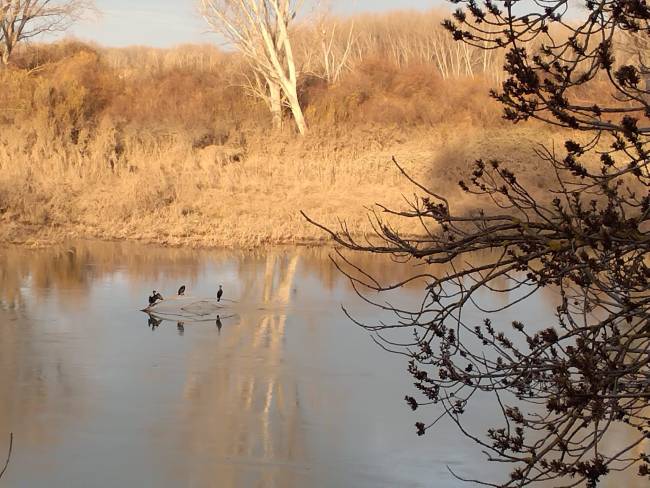 Los hábitos y la atención