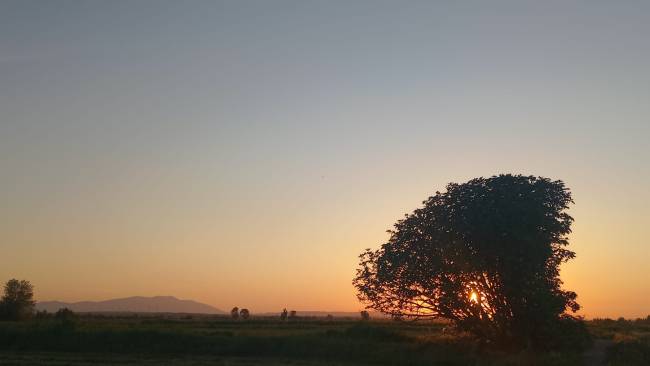 ¿Qué significa parar el diálogo mental?