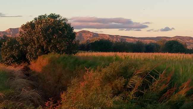 Efectos sutiles de la práctica de compartir méritos con todos los seres
