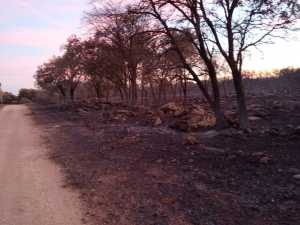 O Santuario d'a Misericordia