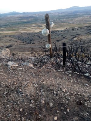 Cables a rafe d'o sulero