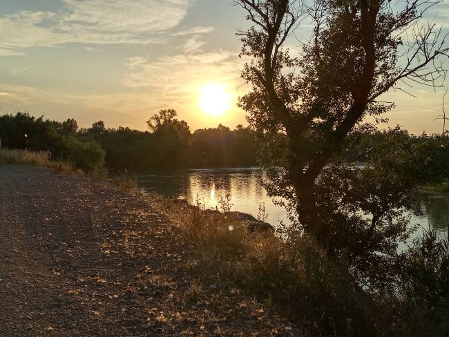 Fe, perdón, disciplina, gratitud y amor