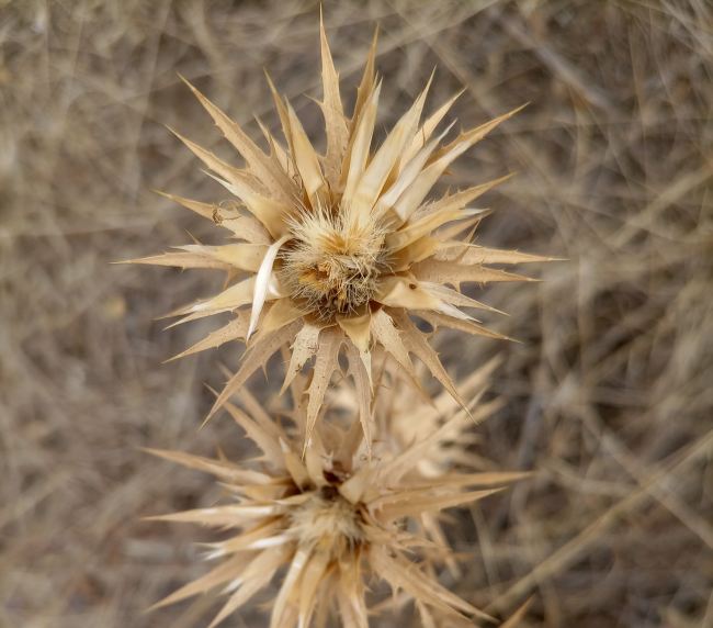 Micromeditación III