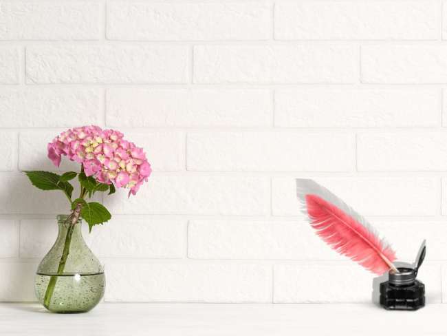 ¿Acaso la esperanza es esa cosa con plumas?