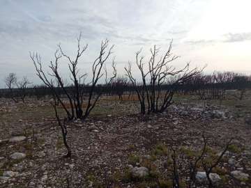 A puerta d'o esdebenidero