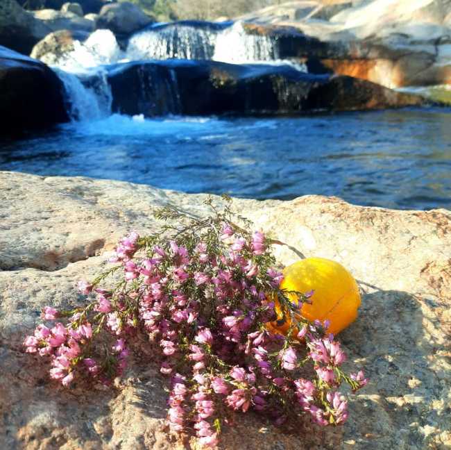 Mientras sentimos el río