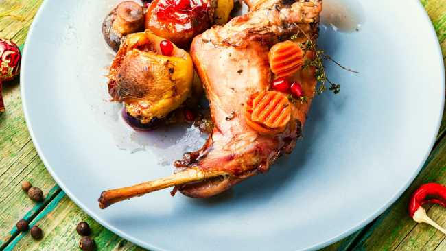 Hispania, tierra de conejos