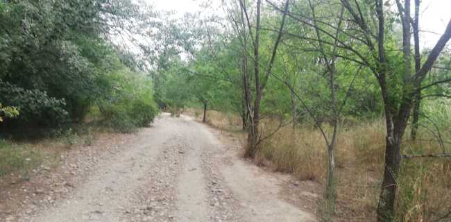 Por la ribera del Gállego