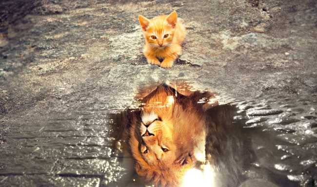 Los sueños, sueños son...