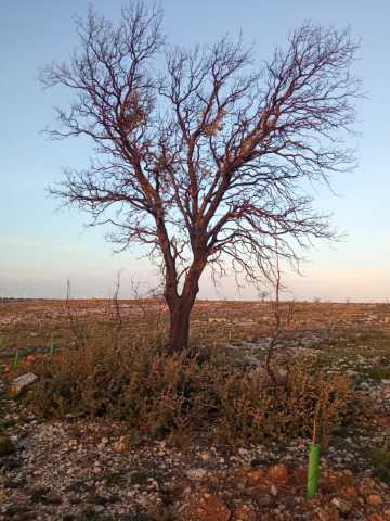 La bida y a naturaleza