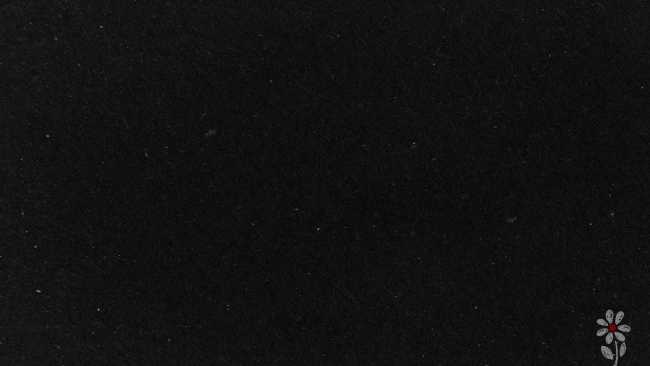 Sin gambas con gabardina