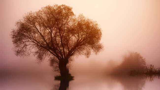 Un artículo que habla de los romances así por encima y en el que autor tararea un poco