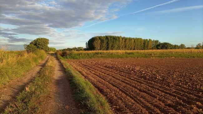 Del puente a la alameda