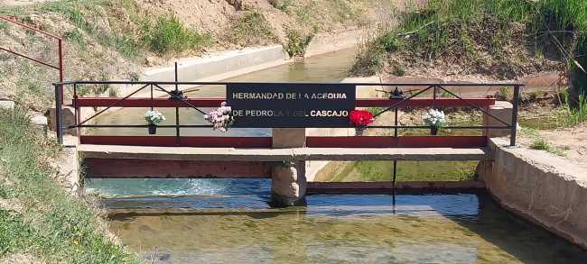 La ceremonia de "El trallo o arruedo"