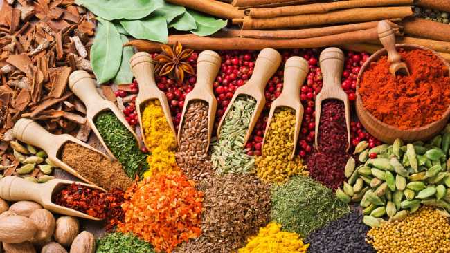 El poder de los sentidos