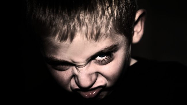 El fantasma de la mula de San José