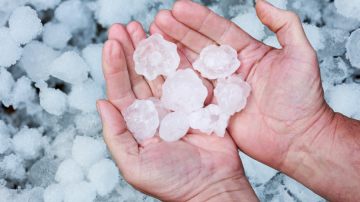 O miyo Anchel d'a Guarda