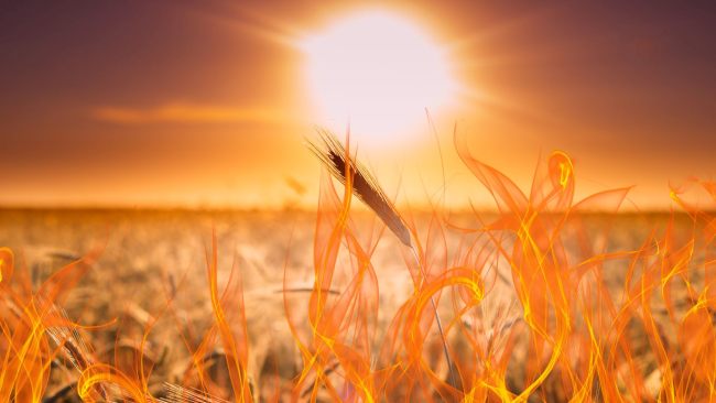 el verano de los altibajos